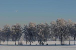 Winterzeit in Westfalen foto