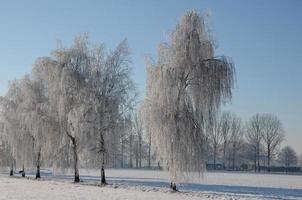 Winterzeit in Westfalen foto