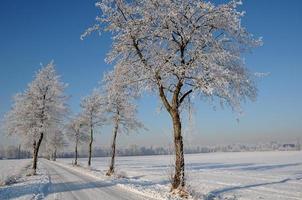 Winterzeit in Westfalen foto