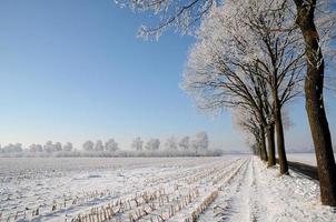 Winterzeit in Westfalen foto