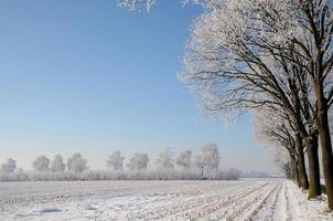 Winterzeit in Westfalen foto