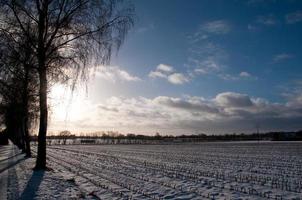 Winterzeit in Westfalen foto