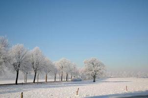 Winterzeit in Westfalen foto