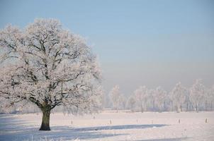 Winterzeit in Westfalen foto