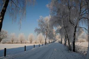 Winterzeit in Westfalen foto