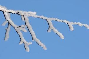 Winterzeit in Westfalen foto