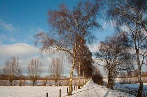 Winterzeit in Westfalen foto