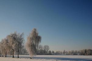 Winterzeit in Westfalen foto