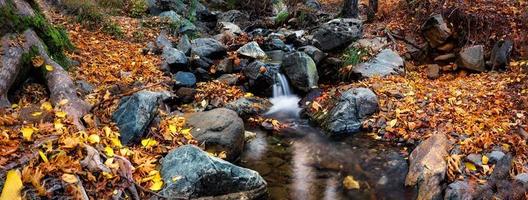 Wasserfall auf ein Berg Fluss im das Herbst Wald