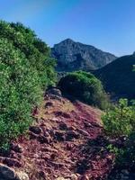 erkunden das ehrfurchtgebietend Berg bestehen in der Nähe von das Gipfel, ein atemberaubend Reise in das Herz von natürlich Größe und robust Schönheit foto