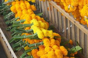 Ringelblumen, Lotus Blumen sind gebracht zu Zahlen Huldigung zu das Herr Buddha. foto