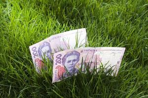 ukrainisch Geld 200 Griwnja auf das Boden im Grün Gras. Land Markt Konzept foto