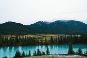 Bogen Fluss und felsig Berge von Hintersumpf Standpunkt im banff National Park foto