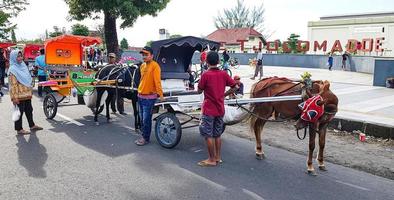Surakarta, Indonesien, Januar 8, 2023 dokar Wisata oder Streitwagen Spritztour im Sonntag Auto kostenlos Tag surakarta foto