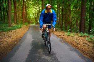 mittleren Alters Mann ist Reiten ein Straße Fahrrad entlang ein Wald Straße foto