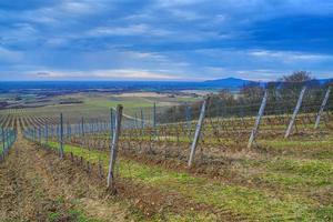 wolkig Tag im das Weinberge von das tokaj Region foto