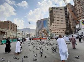 Mekka, Saudi Arabien, März 2023 - - Tauben im das äußere Hof von Masjid al-haram, Mekka, Saudi Arabien Essen Korn angeboten durch Pilger. foto