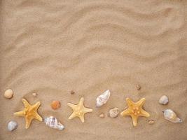 Meer Sterne und Muscheln Lüge auf das Sand. das Konzept von ausruhen, Meer, Reise. Kopieren Raum foto