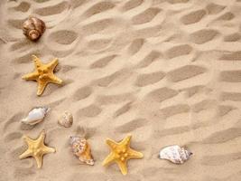 Meer Sterne und Muscheln Lüge auf das Sand. das Konzept von ausruhen, Meer, Reise. Kopieren Raum foto