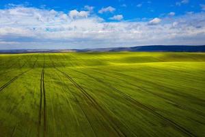 Grün Feld und malerisch Wolken im das Himmel foto