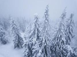 Flug Über Schneesturm im ein schneebedeckt Berg Nadelbaum Wald, unbequem unfreundlich Winter Wetter. foto