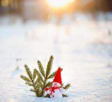 glücklich Schneemann Stehen im Winter Weihnachten Landschaft.Schnee Hintergrund foto