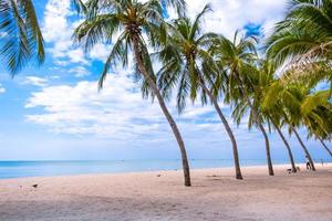 tropisch sandig Strand mit Palme Baum beim bangsaen Strand foto