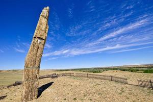 verkieselt Holz von das jungar Becken im Xinjiang, ebenfalls bekannt wie Holz Fossilien foto