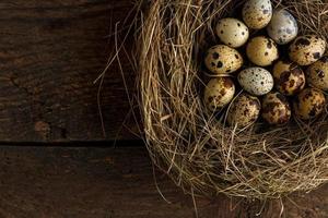 Wachtel Eier im ein Nest auf ein hölzern rustikal Hintergrund foto