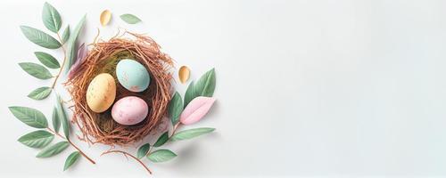 Ostern Poster und Banner Vorlage mit Ostern Eier im das Nest auf Weiß Hintergrund mit ein Kopieren von das Platz zum das Text. foto