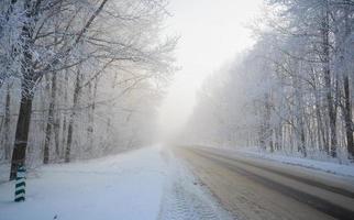 Straße beim das Winter Landschaft im das Wald foto