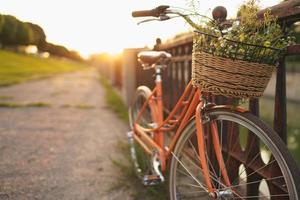 Fahrrad mit Blumen auf das Korb foto