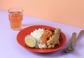 nasi gudeg jogja komplit mit opor Ayam Hähnchen kurvig, Eier, Jackfrucht Eintopf, und krecek foto