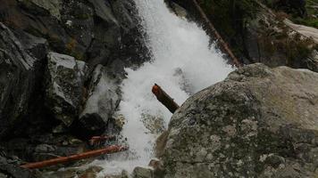 Malerischer Blick auf den Wasserfall im Wald foto