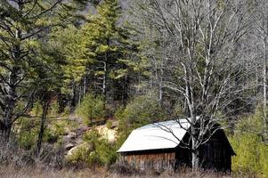 verlassen Scheune im Norden Carolina Wald foto