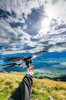 ein alpin Dohle schwarz Vogel Das isst von das Hand foto