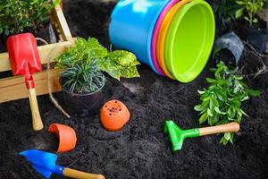 Gartenarbeit Werkzeuge auf Boden Hintergrund bereit zu Pflanzen Blumen und klein Pflanze im das Frühling Garten funktioniert Konzept Gartenarbeit foto