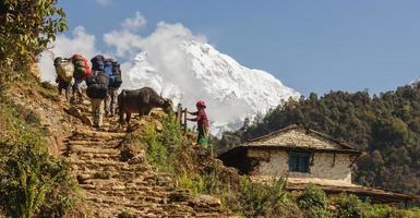 ghandruk, Nepal - - April 2015. Stein Treppe führen oben zu das annapurna Base Lager Vergangenheit ein traditionell ländlich nepali Haus. foto