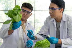 Wissenschaftler Mannschaft tun Experiment im Landwirtschaft Labor zu entwickeln genetisch Änderung Pflanzen foto