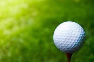 Grün Gras mit Golf Ball Nahansicht im Sanft Fokus beim Sonnenlicht. Sport Spielplatz zum Golf Verein Konzept ,Golf Ball auf Tee bereit zu Sein Schuss foto