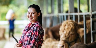 Porträt einer glücklichen jungen asiatischen Bäuerin, die den Arm überquert und auf der Milchkuhfarm in die Kamera schaut. landwirtschaftsindustrie, landwirtschaft, menschen, technologie und tierhaltungskonzept. foto