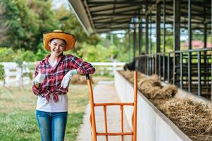 Porträt einer glücklichen asiatischen Bäuerin, die Kühe im Kuhstall auf einem Milchviehbetrieb füttert. landwirtschaftsindustrie, landwirtschaft, menschen, technologie und tierhaltungskonzept. foto