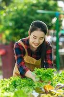 Junge asiatische Bäuerin, die Händchen hält, um frischen Salat aus grüner Eiche, Bio-Hydrokulturgemüse in der Gärtnerei zu überprüfen. Geschäfts- und Bio-Hydrokultur-Gemüsekonzept. foto