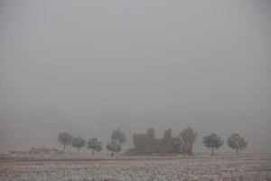 Ein gefrorener Kiefernwald an einem Wintermorgen in Castilla foto