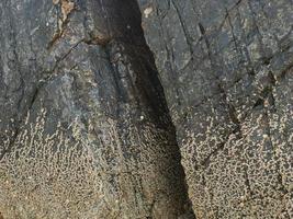 Felsen mit geraden Kanten bei Ebbe eines Strandes an der asturischen Küste foto