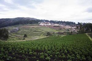 landwirtschaftliche Terrassen in Cusco foto