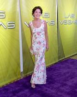 Lara flynn Boylelas Vegas Schwimmbad partynbc tca Tour eventverly Hilton Hotel Beverly Hügel cajuli 24 20052005 foto