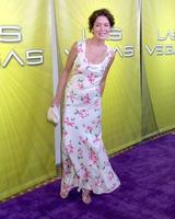 Lara flynn Boylelas Vegas Schwimmbad partynbc tca Tour eventverly Hilton Hotel Beverly Hügel cajuli 24 20052005 foto