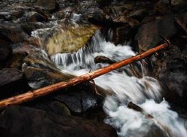 Strom im Bach foto