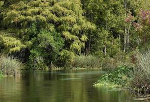 Wasserweg im Westen Florida foto